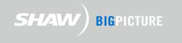Shaw - Big Picture